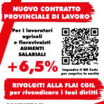 CPL: salari più alti del 6,5% ai lavoratori agricoli e florovivaisti della provincia di Lecce